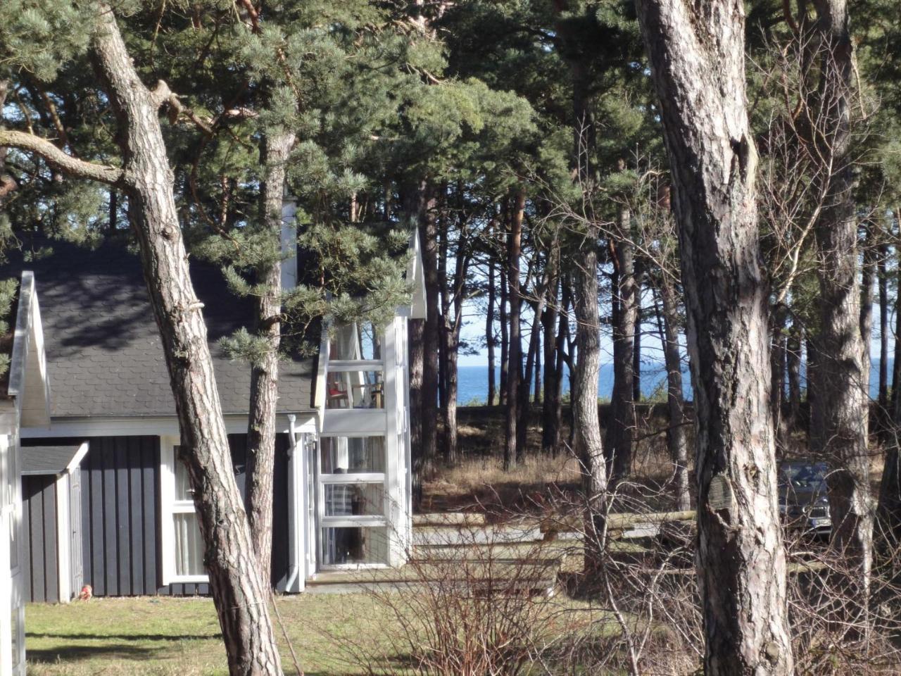 Ostsee Strandhaus Seerobbe Baabe Eksteriør bilde