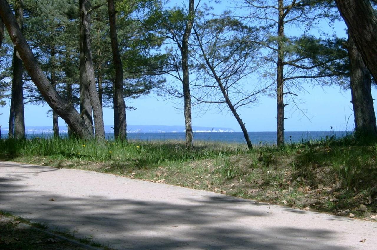 Ostsee Strandhaus Seerobbe Baabe Eksteriør bilde